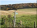 Farmland and woodland in the Chilterns in HP27 0RJ