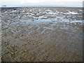 Mudflats, at Weston Bay in BS23 4NQ