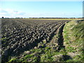 Ploughed land in PE12 0XN