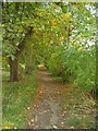 Path off Outwood Lane, Horsforth, Leeds in LS18 4BX