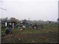 Allotments near Lea Bridge Road in E10 7NX