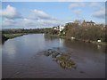 The Exe in full flow near Countess Weir in EX2 7BU