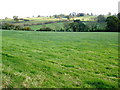 Fields, east of Lympstone in EX8 5LZ
