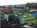 Allotments on Tile Kiln Road in CT19 4BF