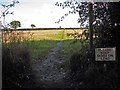 Path across the fields in Swanton Abbott
