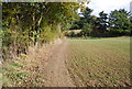 Footpath along the edge of the woods. in TN11 8DY