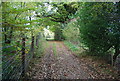 Footpath in the woods in TN11 8EX
