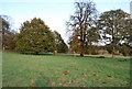 Parkland, Penshurst Place Estate. in TN11 8DG