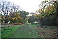 Footpath through the trees in TN11 8DG