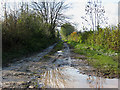 Bridleway and drainage ditch in HR1 3NL