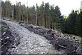 A newly constructed forest path in PA24 8AE