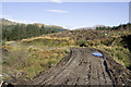 View NE along forest track in PA24 8AE