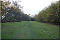 Footpath through the trees, Penshurst Place Estate in TN11 8HX