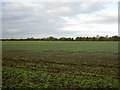 Farmland near Thornton Hough in Clatterbridge Ward