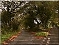 Fork in the road near Pillaton in PL12 6QU