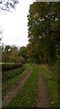 Footpath alongside Bulley Woods in GL2 8BL