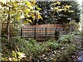 Public footbridge over the River Ash in SG10 6BU