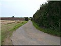 Hedge-lined track in Wyham cum Cadeby