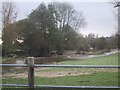 River Otter below Cadhay Bridge in EX11 1NA