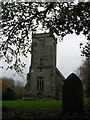 Ebbesbourne Wake: foliage overhanging churchyard in SP5 5JP