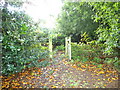 Kesgrave Hall - path to 5-a-side football field in IP5 3QX
