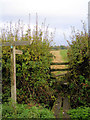 Footpath near Ripe in BN8 6AX