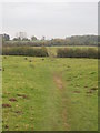 Footpath across the fields at Milton Under Wychwood in OX7 6RQ