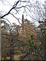 Garendon Estate obelisk in LE11 4AJ