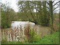 The River Windrush at Widford Mill in OX18 4ES