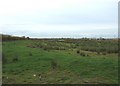 Wet grassland, Gwent levels in NP18 2AU