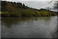 The River Severn near Bewdley in DY12 1NF