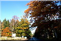 South end of Edzell Wood on approach to Edzell in DD9 7TZ