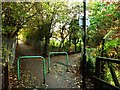 Footpath junction, W13 in UB6 8YH