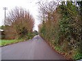 Nut Bush lane - Torbay in TQ2 7RN