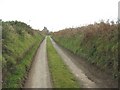 Little used section of the road south of Pen-yr-orsedd cottage in Aberffraw Community