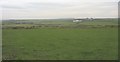 View across farmland in the direction of Bodgedwydd Farm in Aberffraw Community