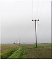 Westwards across fields in NR12 0LZ