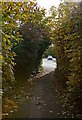 Footpath from Old Shamblehurst Lane to Beattie Rise in SO30 2UJ