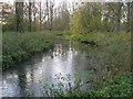Meden Vale - River Meden in NG20 9PA