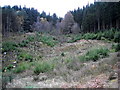 Hillside in Loch Ard Forest in FK8 3TW