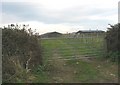Farm buildings at Bodelwa in LL63 5YL