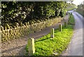 Road South from Abbotsbury in DT3 4JS