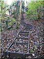 Flight of steps at Moss Valley Country Park in LL11 6LE