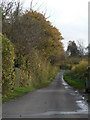 Furzehill: the lane to Barnsley in BH21 4JA