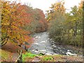 River Ardle riverside walk in PH10 7NU