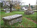 Churchyard, St Martin's Church, Cheselbourne in DT2 7NL