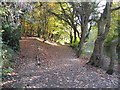 Two paths at Moss Valley Country Park in LL11 6LE
