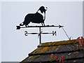 Weather vane, Cheselbourne in DT2 7NR