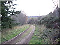 Track into Midmar Forest in AB51 7LX