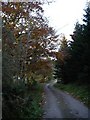 Lane from Craigshannoch in AB51 7LX